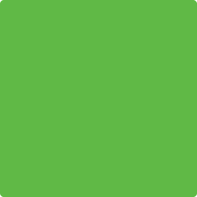 2030-30: Lucky Charm Green a paint color by Benjamin Moore avaiable at Clement's Paint in Austin, TX.