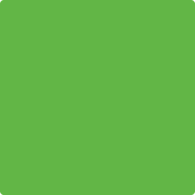 2031-20: Paradise Green a paint color by Benjamin Moore avaiable at Clement's Paint in Austin, TX.