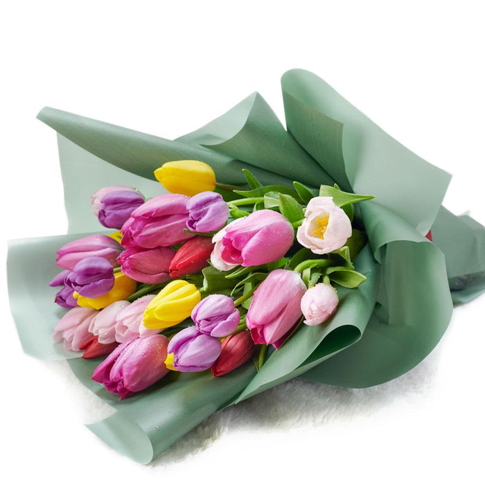 Assorted Spring Tulips Hand-Tied Bouquet – the bouquet