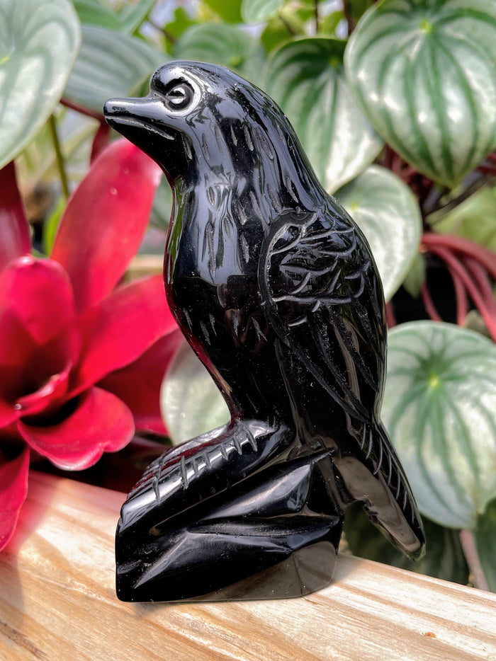 Black Obsidian Raven Crystal Carving
