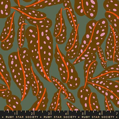 Calathea Cocoa 2- Fat Quarter