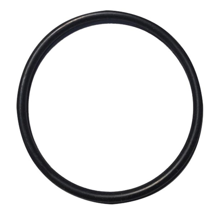 Check Retainer Cap O-Ring
