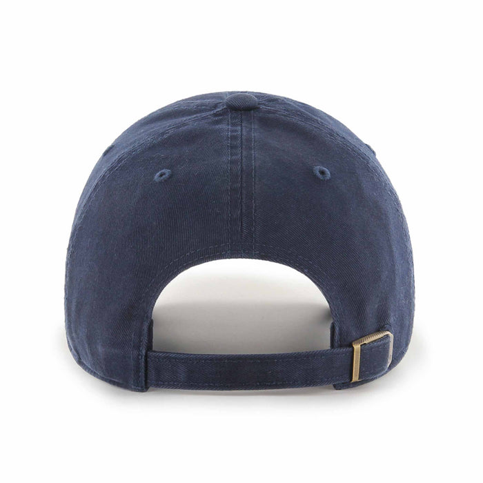Chicago Cubs Spring Training Bear Navy Clean Up Cap