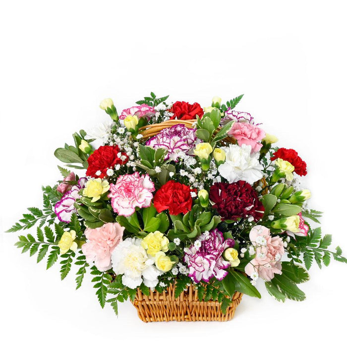 Deluxe Multi-Coloured Carnations Floral Arrangement – gift basket with this arrangement includes a selection of multi-coloured carnations