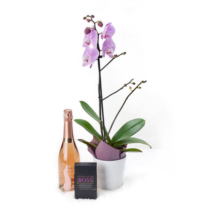 Deluxe Sparkling Wine Orchid in Ceramic Planter Gift – gift basket with BOSS extra dark chocolate. BOSS chocolate is specially