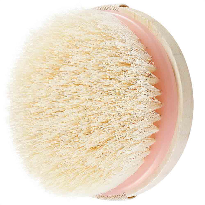 Dry Body Brush