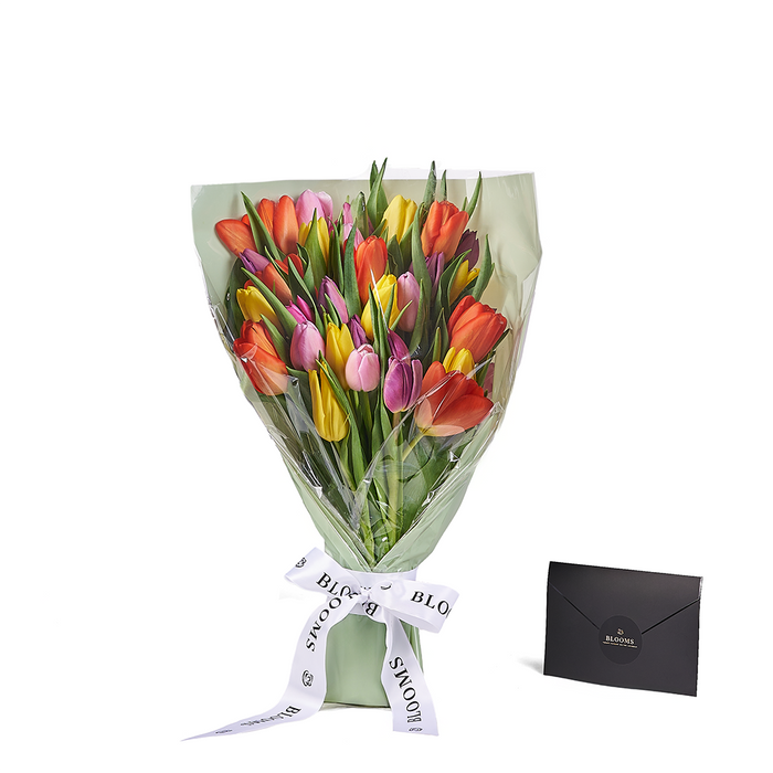 Encapsulated Multicoloured Tulip Bouquet with Designer Ribbon – the bouquet