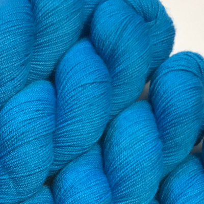 Panthers - Studio Smitten