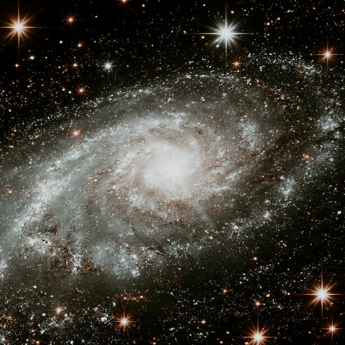 Silver Supernova | Fragrance Oil