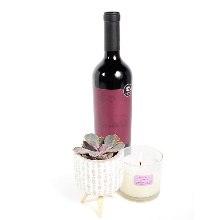 Succulent Plant and Wine Gift Set with White Ceramic Planter – gift basket with velas botanica lavender candle and this wine gift set includes a