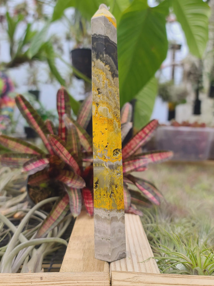 WYSIWYG- Bumblebee Jasper Tower
