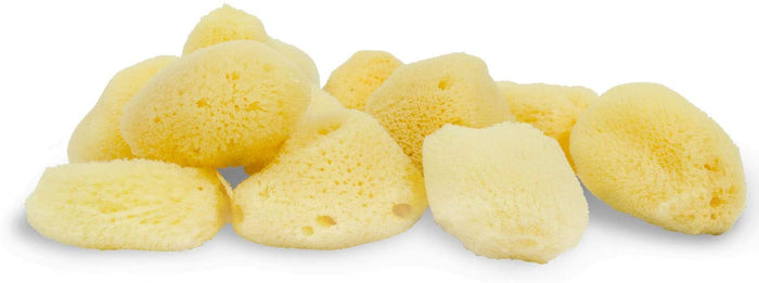 1-1/2" - 3" Dead Sea Sponge