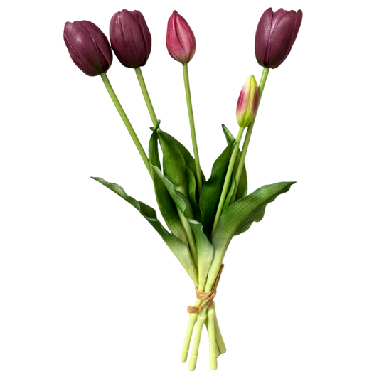 Bouquet of purple tulips with green leaves on a white background