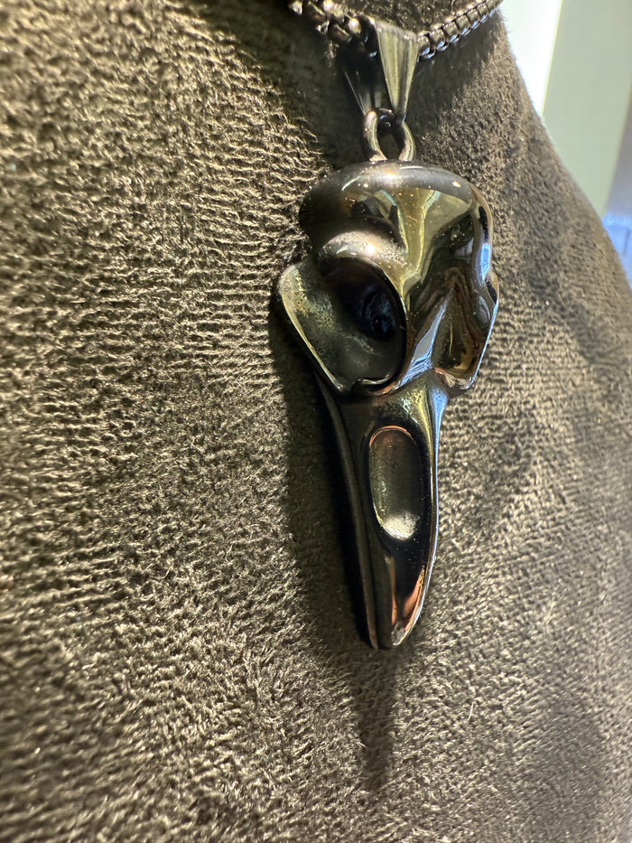 Titanium Raven Pendant & Necklace Set