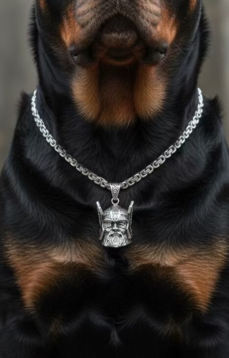 "The Allfather" Odin Titanium Bell Pendant & Necklace Set