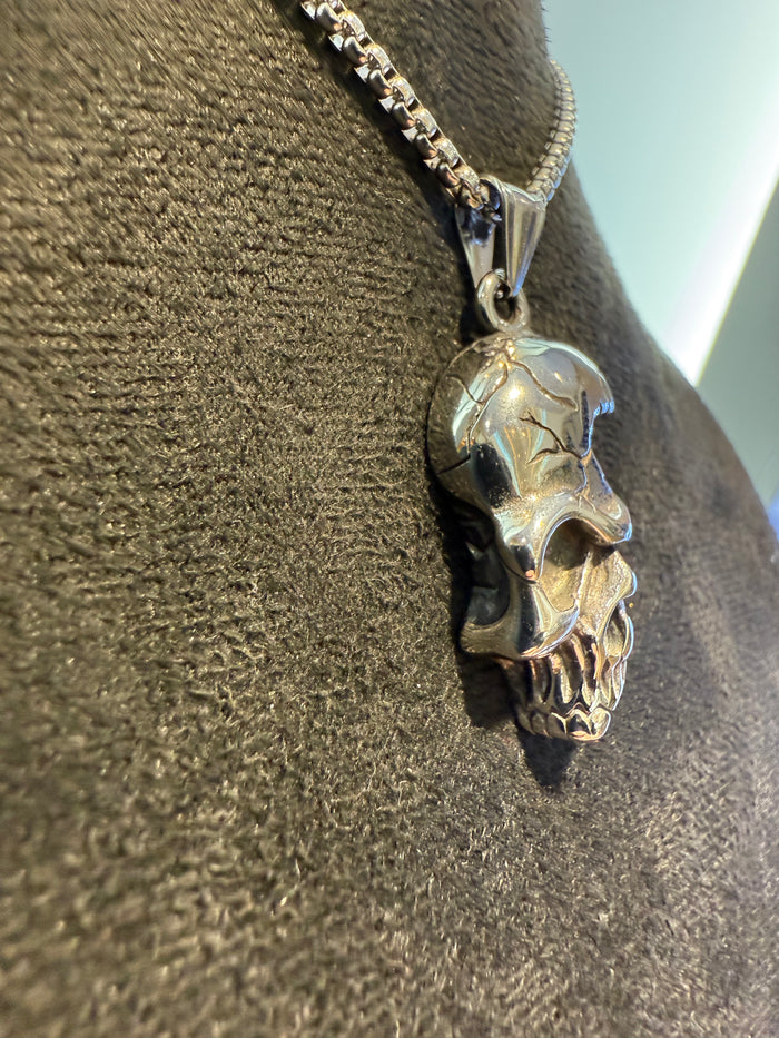 Half Skull Pendant & Necklace Set