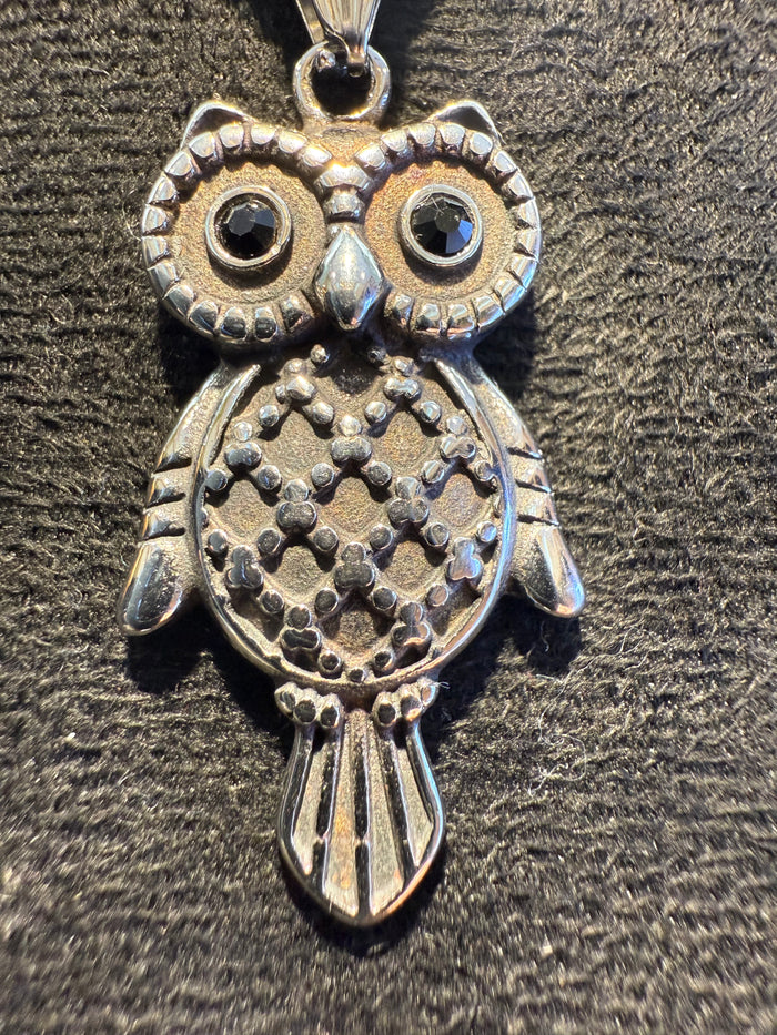 Titanium Owl Pendant with Black Stone Eyes & Necklace Set