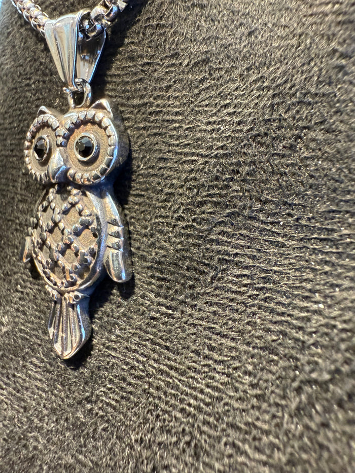 Titanium Owl Pendant with Black Stone Eyes & Necklace Set