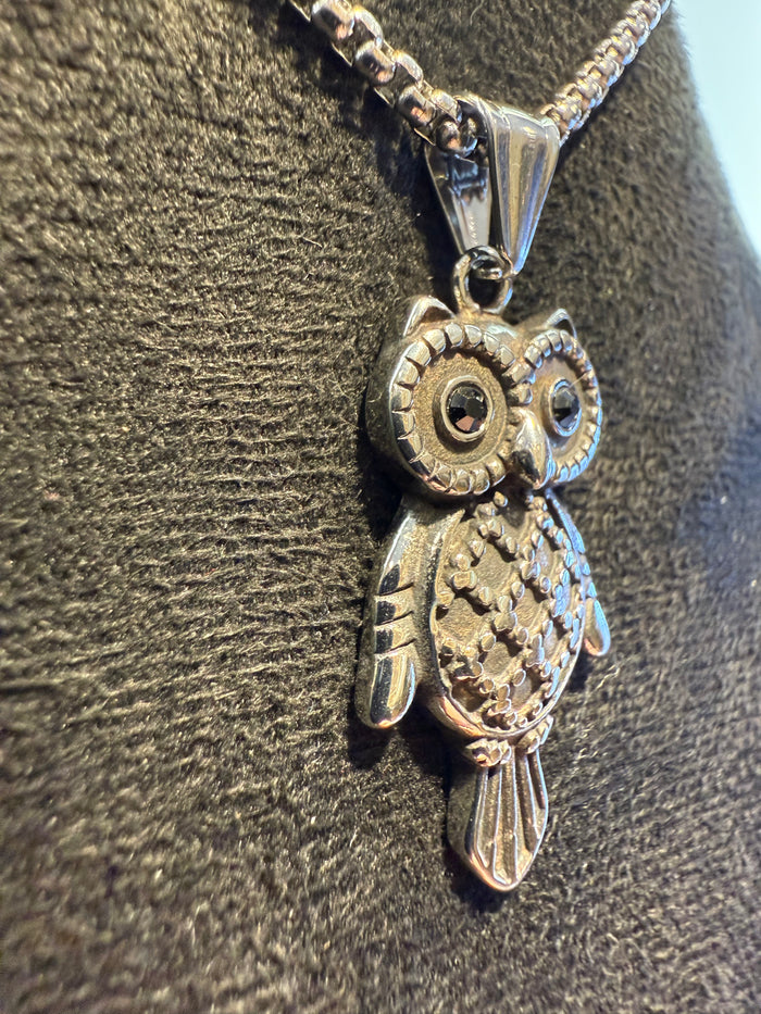 Titanium Owl Pendant with Black Stone Eyes & Necklace Set