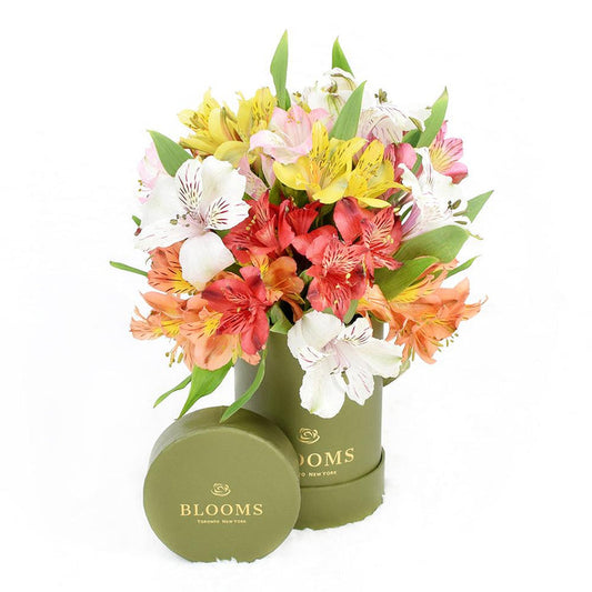 Alstroemeria & Ruscus Flowers with Small Round Chocolate Box Gift – gift basket with specially designed to convey heartfelt wishes for any and this