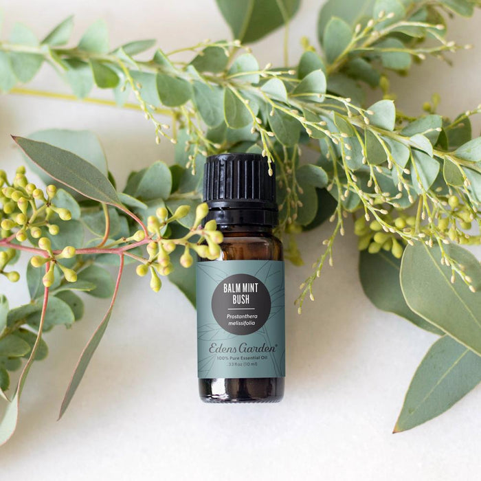 Balm Mint Bush Essential Oil