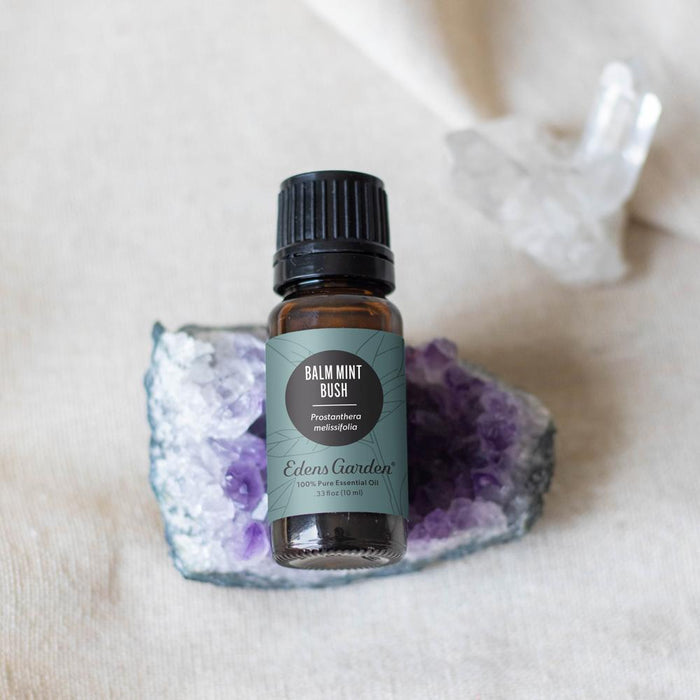 Balm Mint Bush Essential Oil