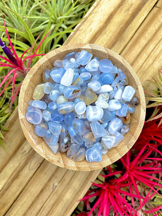Blue Lace Agate Crystal Chips 1/4 cup (3oz)
