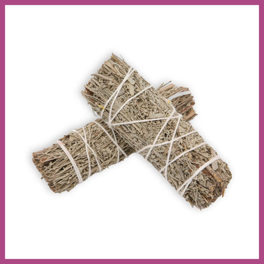 Blue Sage Bundle 4"