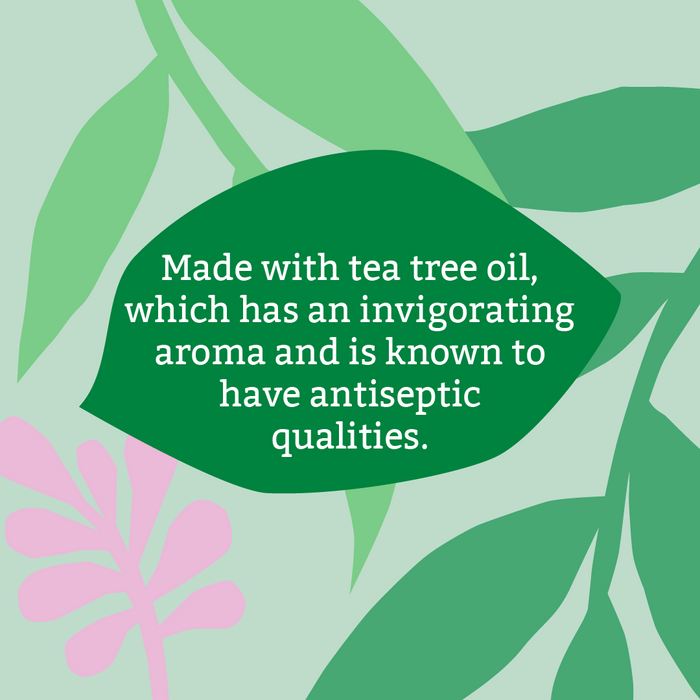 Box of 18 unwrapped Tea Tree soaps