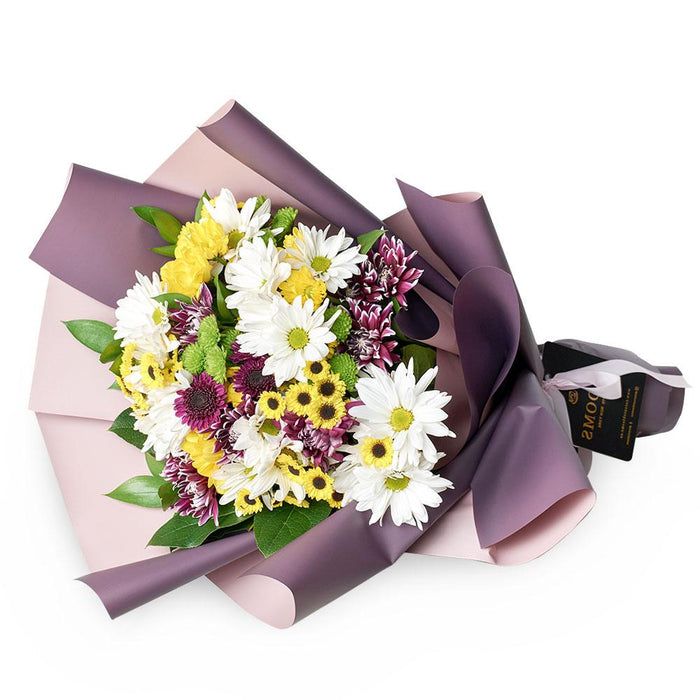 Bright 20-Stem Daisies Bouquet in Floral Wrap – the bouquet