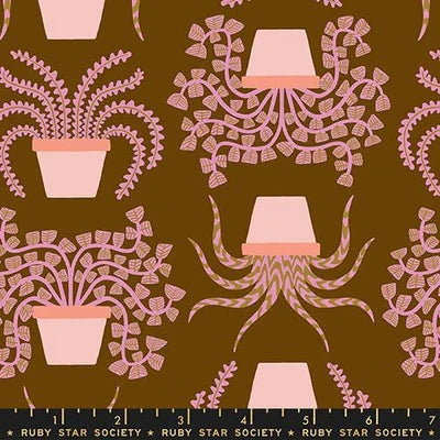 Calathea Cocoa- Fat Quarter