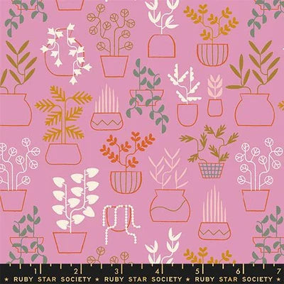 Calathea Kiss 2- Fat Quarter