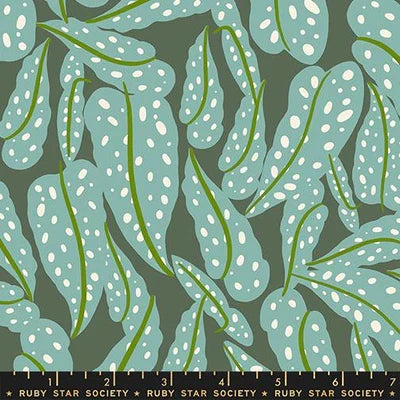 Calathea Seaweed 2- Fat Quarter