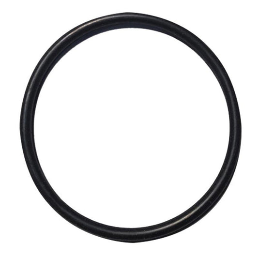 Check Retainer Cap O-Ring