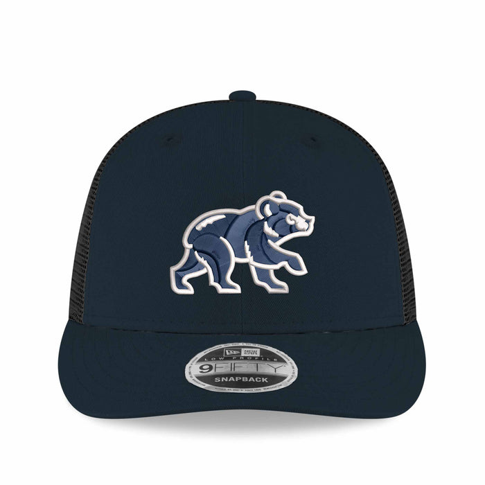Chicago Cubs Navy Spring Training 9FIFTY Low Profile Snapback