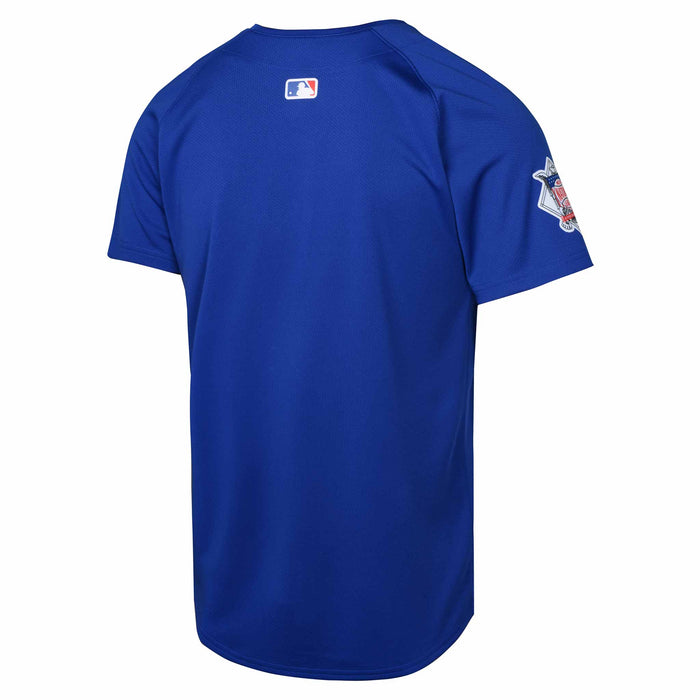 Chicago Cubs Youth Nike Alternate Home Run Jersey