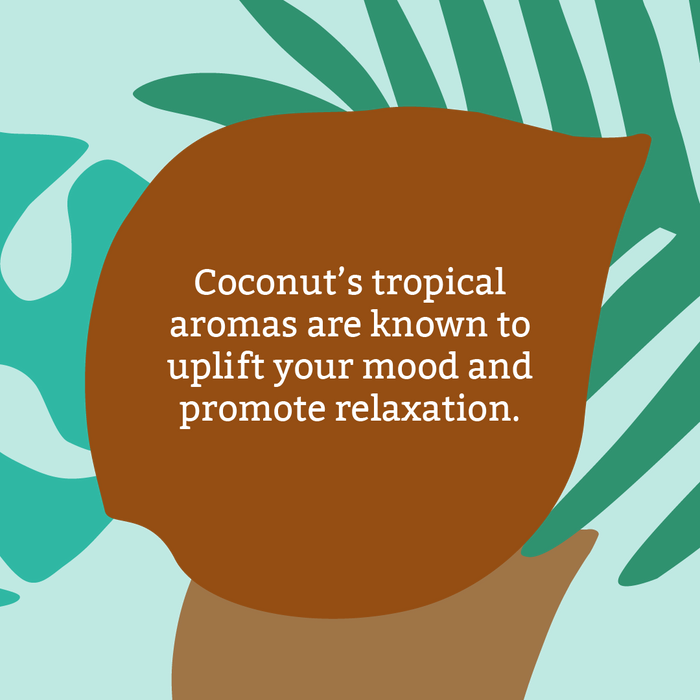 Coconut soap bar