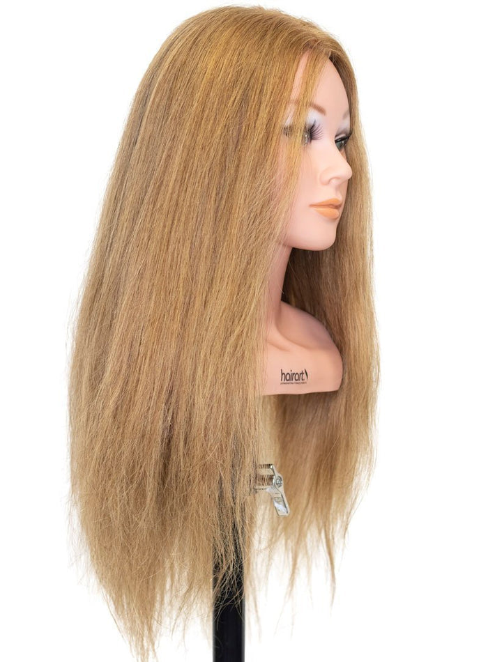 Competition 20 2x Hair Density  [100% Human Hair Mannequin]