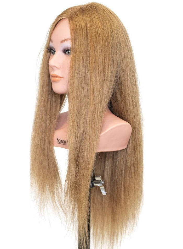 Competition 20 2x Hair Density  [100% Human Hair Mannequin]