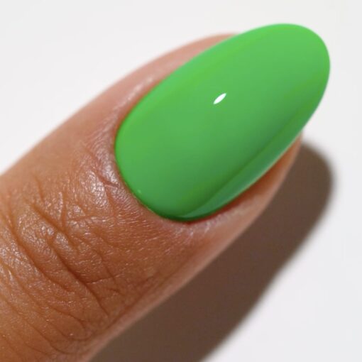 DND DC Premium set Gel Color Matching Polish Color - One In A Melon #2524