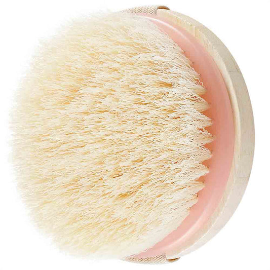 Dry Body Brush