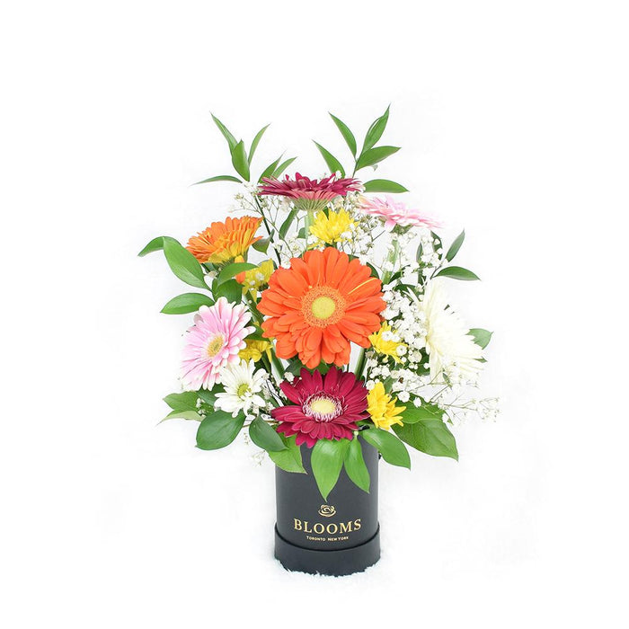 Elegant Multi-Colored Gerberas Floral Gift Basket – gift basket with this arrangement includes a selection of multi-colored gerberas