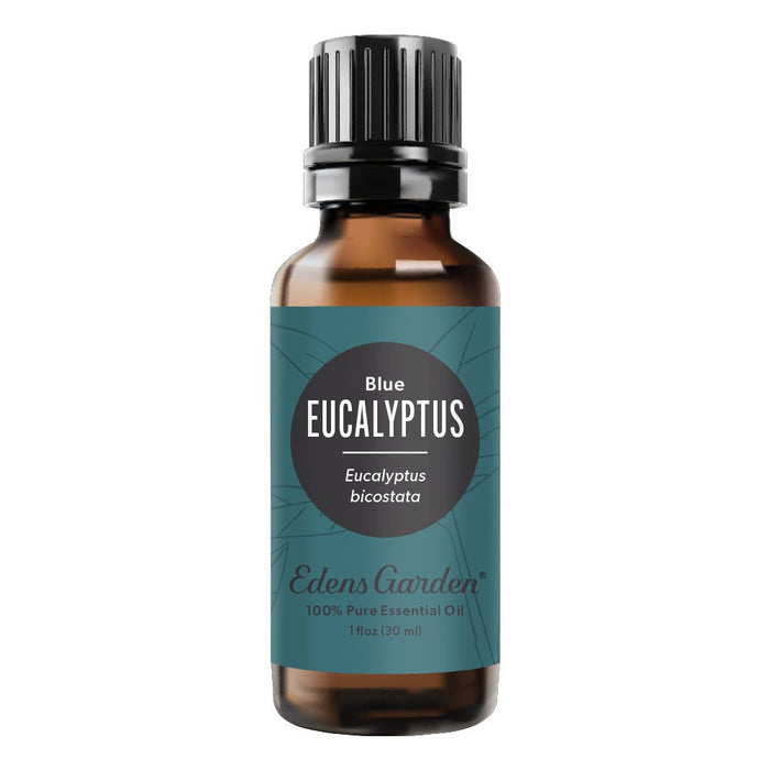 Eucalyptus- Blue Essential Oil