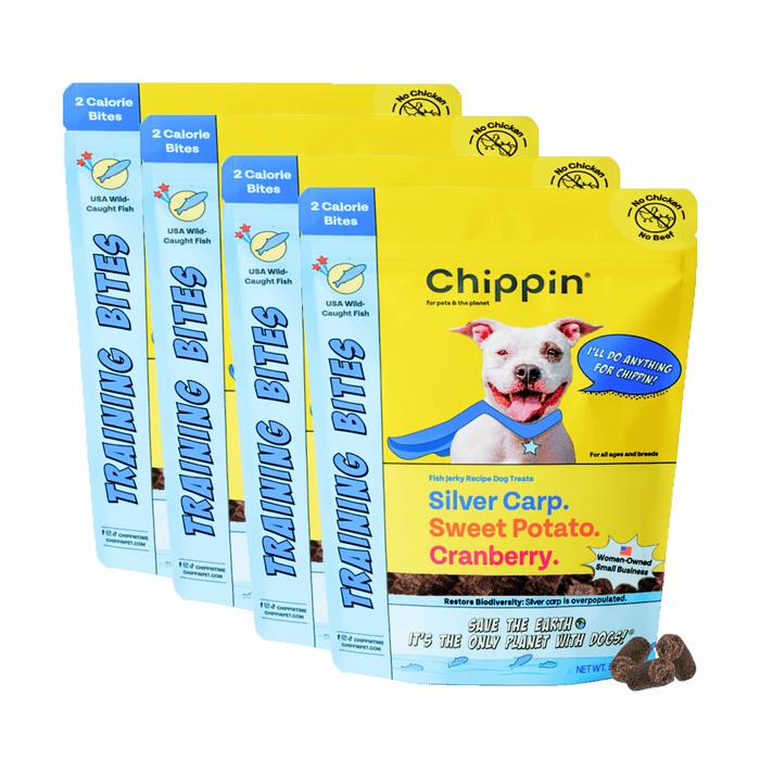 Chippin 4 Pack Fish & Sweet Potato Training Bites, 4-Pack