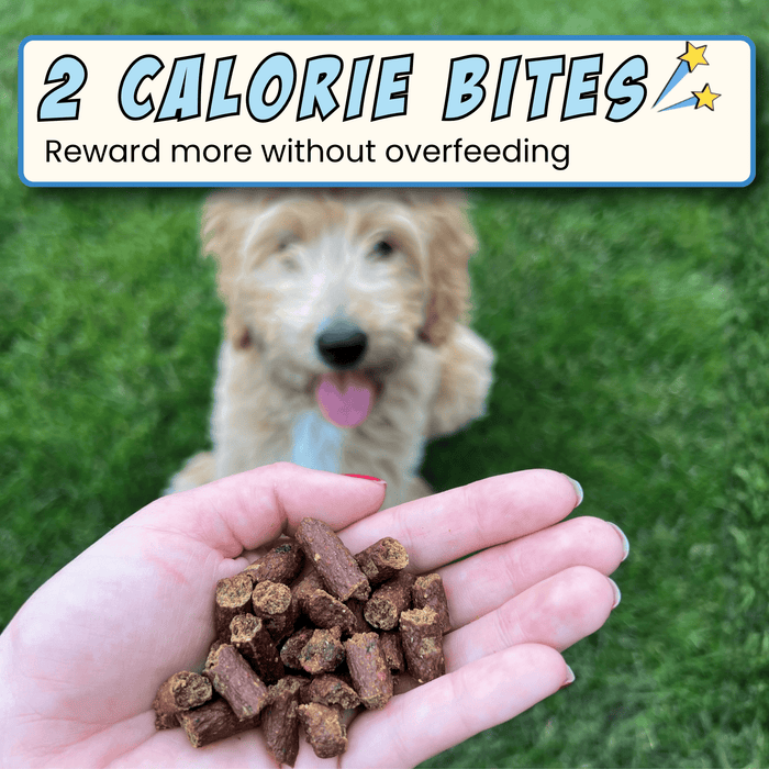 Chippin 4 Pack Fish & Sweet Potato Training Bites, 4-Pack