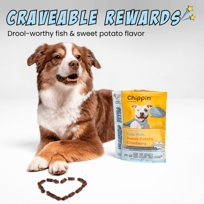Chippin 4 Pack Fish & Sweet Potato Training Bites, 4-Pack