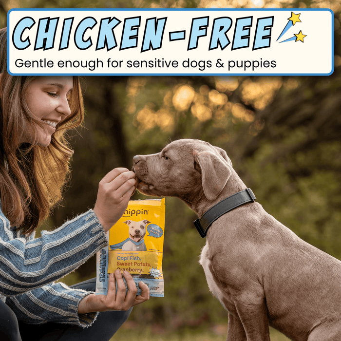 Chippin 4 Pack Fish & Sweet Potato Training Bites, 4-Pack