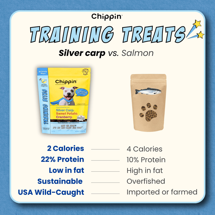 Chippin 4 Pack Fish & Sweet Potato Training Bites, 4-Pack