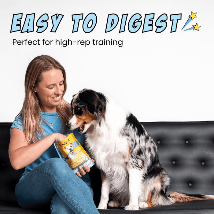 Chippin 4 Pack Fish & Sweet Potato Training Bites, 4-Pack