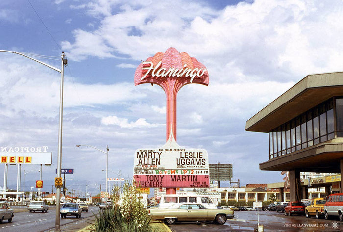 Flamingo Sign Pin